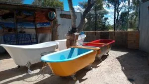 eulo