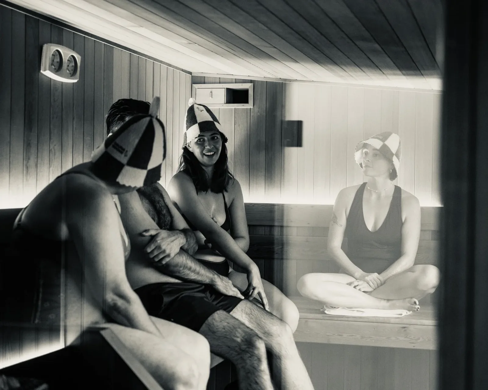 sauna goose